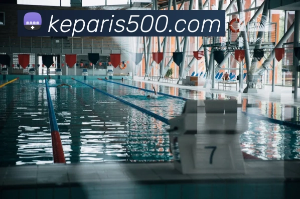 500彩票平台生态图